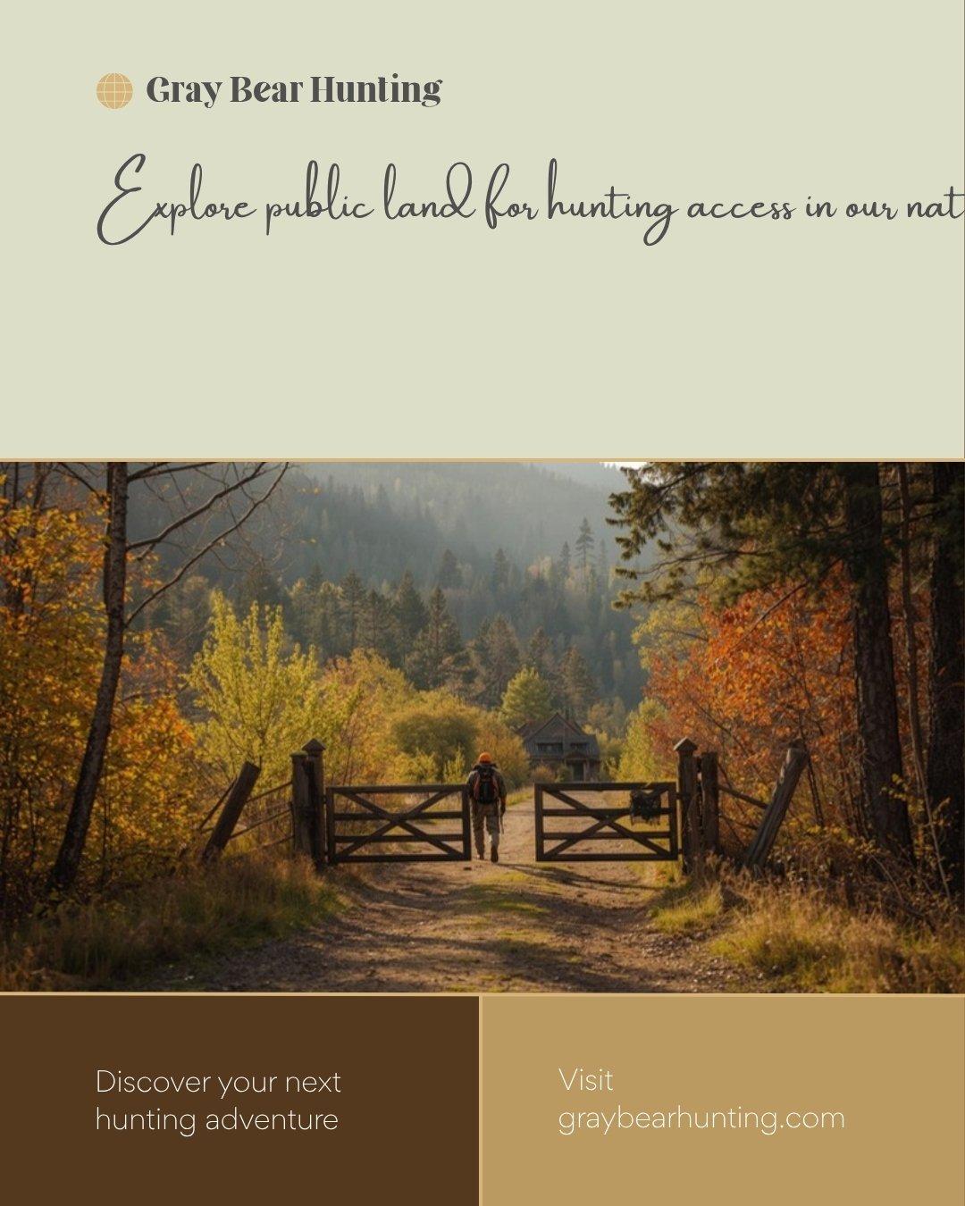 Trophy whitetail buck in peak autumn conditions - the goal of guided deer hunts Large whitetail buck with impressive antlers standing alert in autumn forest with golden leaves during deer hunting season