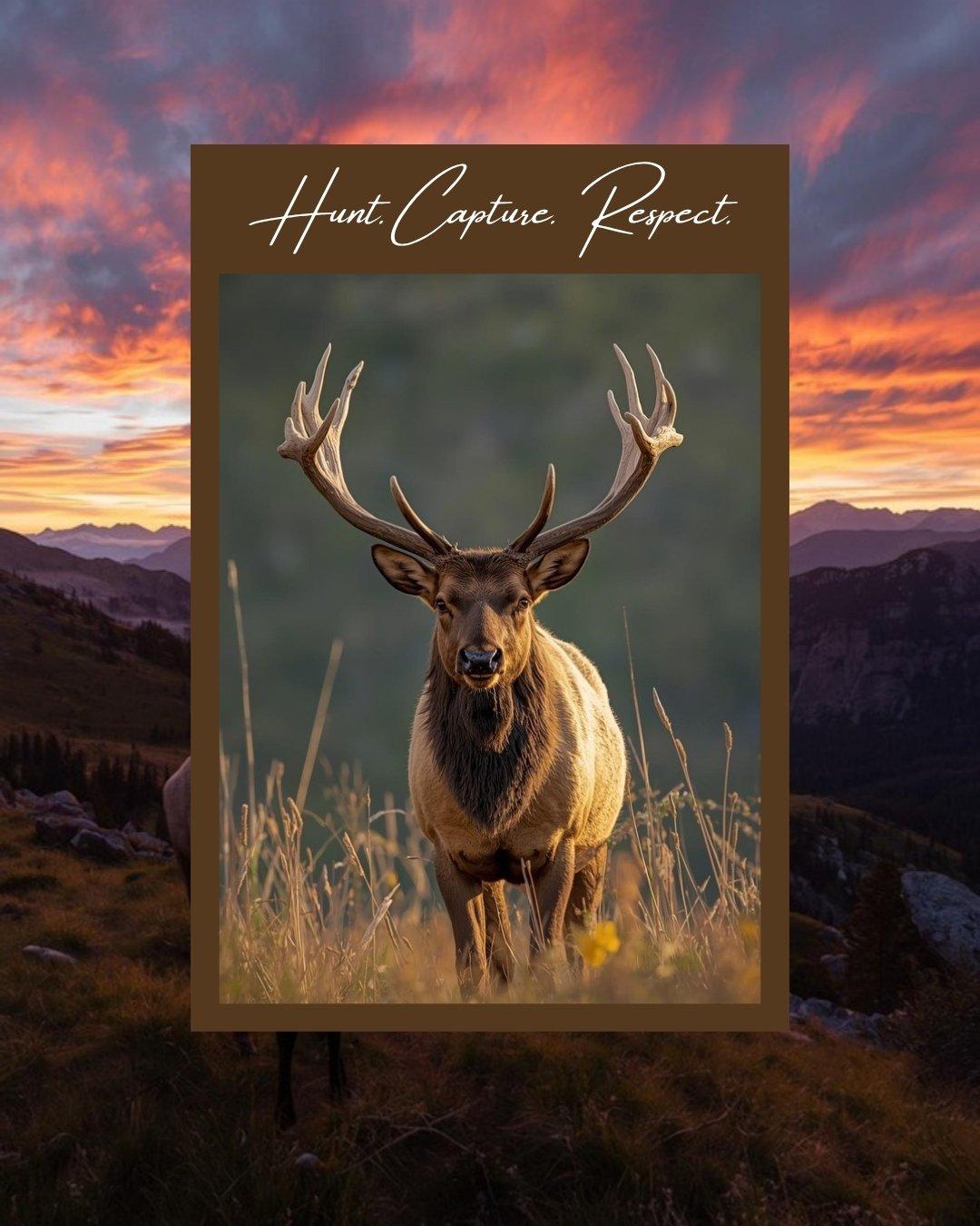 Professional bear hunting dog pack ready for a guided bear hunt Pack of hunting hounds including Plott Hounds and Walker Coonhounds on trail in forest, trained bear hunting dogs