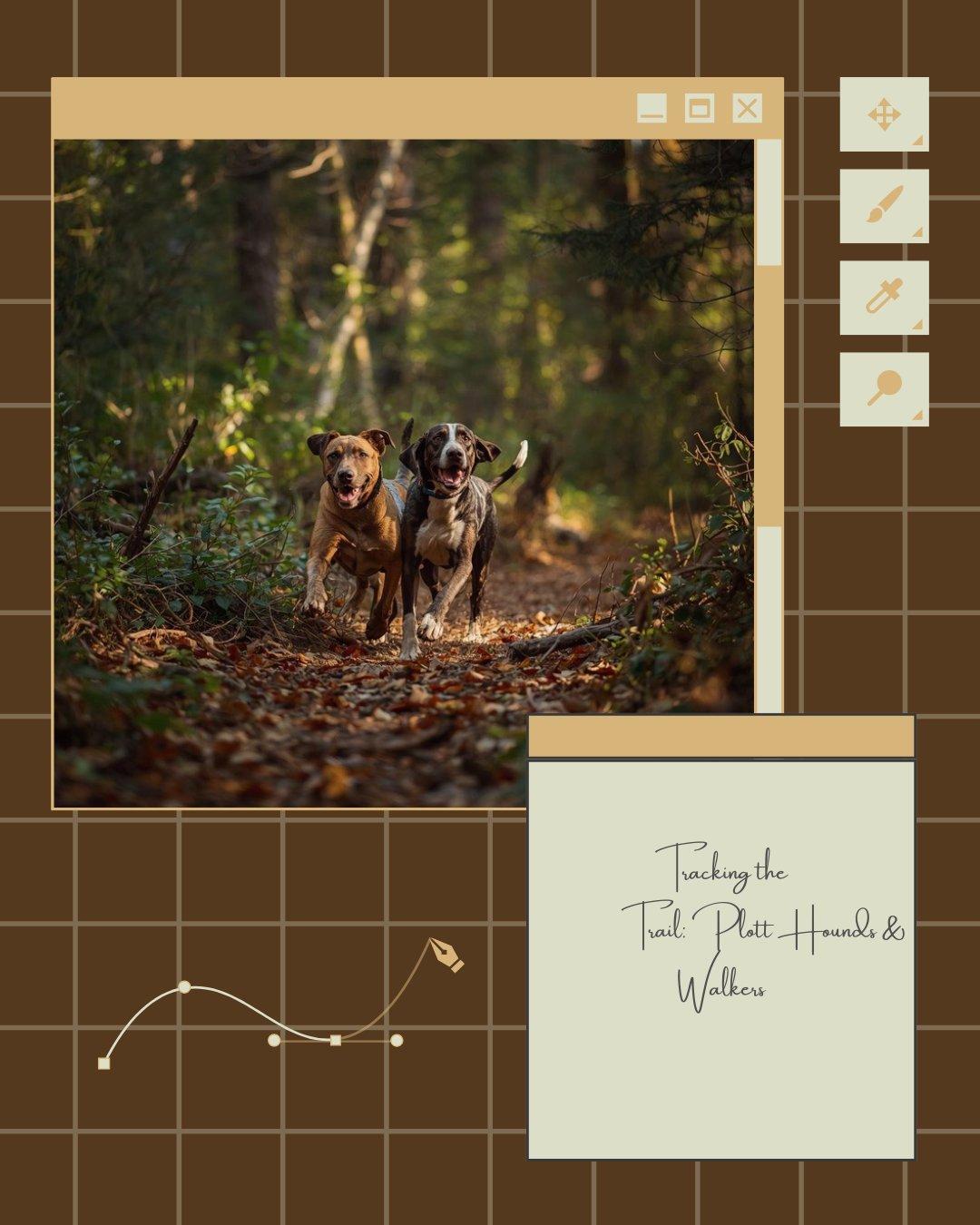 A professional hunting outfitter lodge ready to welcome clients Rustic hunting lodge exterior at golden hour with mountains in the background, welcoming guests for guided hunts